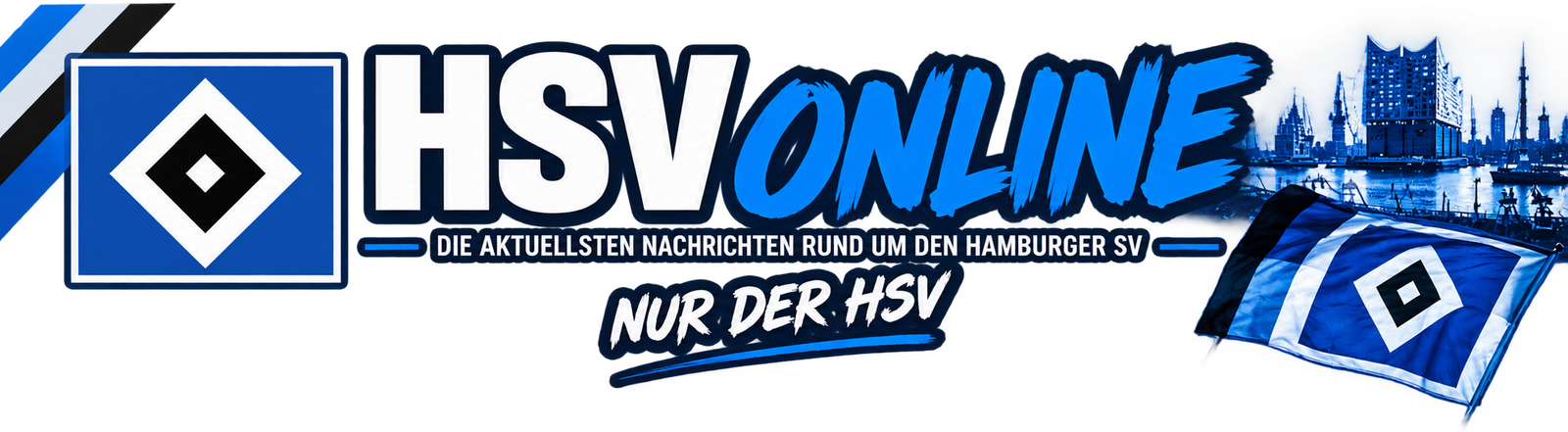 HSV ONLINE